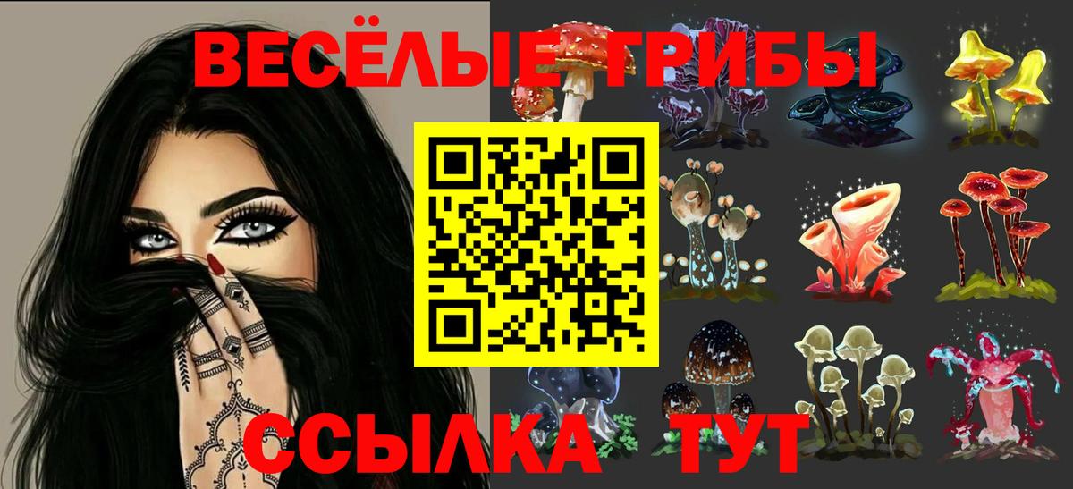 Галлюциногенные грибы GOLDEN TEACHER  Вход с VPN  Богородицк  Галлюциногенные грибы GOLDEN TEACHER 